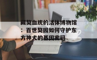 藏獒血统的活体博物馆：百世獒园如何守护东方神犬的基因密码