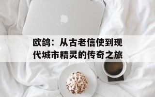 欧鸽：从古老信使到现代城市精灵的传奇之旅