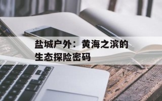 盐城户外：黄海之滨的生态探险密码