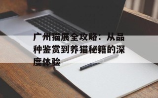 广州猫展全攻略：从品种鉴赏到养猫秘籍的深度体验