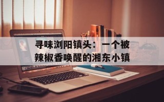 寻味浏阳镇头：一个被辣椒香唤醒的湘东小镇