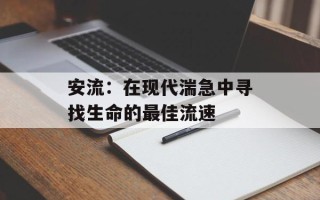 安流：在现代湍急中寻找生命的最佳流速