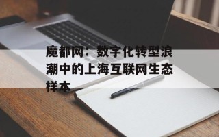 魔都网：数字化转型浪潮中的上海互联网生态样本