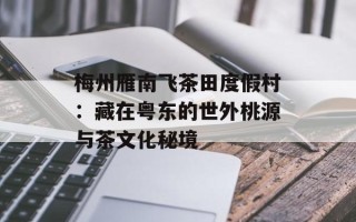 梅州雁南飞茶田度假村：藏在粤东的世外桃源与茶文化秘境
