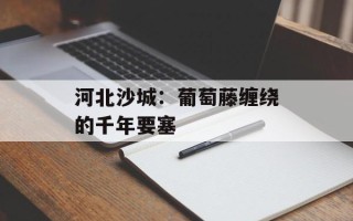 河北沙城：葡萄藤缠绕的千年要塞