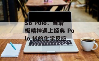 SB Polo：当滑板精神遇上经典 Polo 衫的化学反应