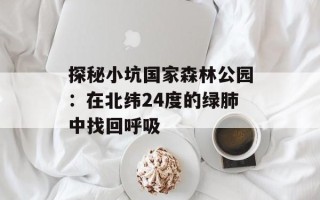 探秘小坑国家森林公园：在北纬24度的绿肺中找回呼吸