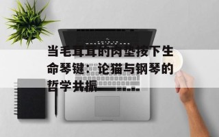 当毛茸茸的肉垫按下生命琴键：论猫与钢琴的哲学共振