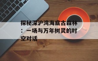 探秘深沪湾海底古森林：一场与万年树灵的时空对话
