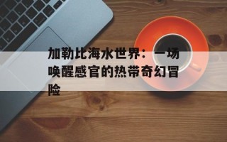 加勒比海水世界：一场唤醒感官的热带奇幻冒险