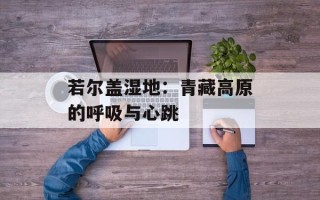 若尔盖湿地：青藏高原的呼吸与心跳