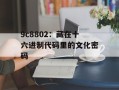 9c8802：藏在十六进制代码里的文化密码