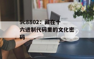 9c8802：藏在十六进制代码里的文化密码