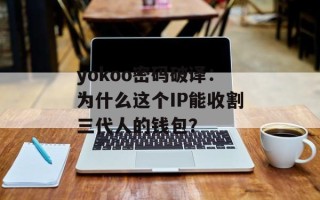 yokoo密码破译：为什么这个IP能收割三代人的钱包？