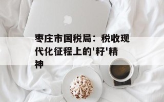 枣庄市国税局：税收现代化征程上的'籽'精神