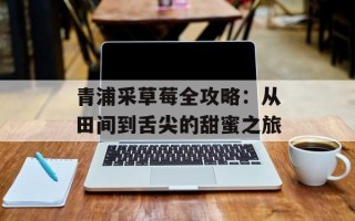 青浦采草莓全攻略：从田间到舌尖的甜蜜之旅