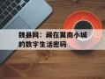 魏县网：藏在冀南小城的数字生活密码