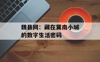 魏县网：藏在冀南小城的数字生活密码