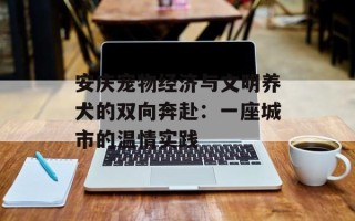 安庆宠物经济与文明养犬的双向奔赴：一座城市的温情实践