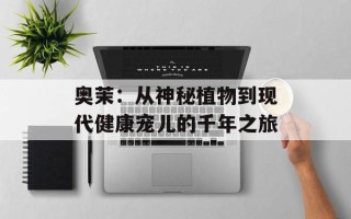 奥茉：从神秘植物到现代健康宠儿的千年之旅