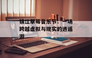 镇江草莓音乐节：一场跨越虚拟与现实的逍遥游