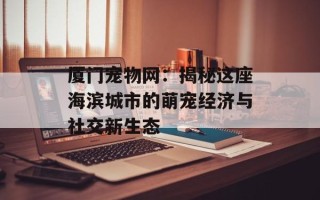 厦门宠物网：揭秘这座海滨城市的萌宠经济与社交新生态