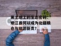 黑土地上的生态密码：嫩江县何以成为北疆粮仓与旅游新贵？