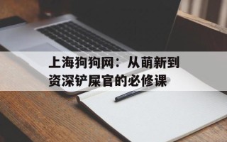 上海狗狗网：从萌新到资深铲屎官的必修课