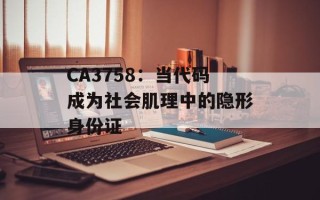 CA3758：当代码成为社会肌理中的隐形身份证
