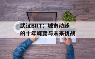 武汉BRT：城市动脉的十年蝶变与未来挑战
