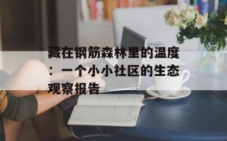 藏在钢筋森林里的温度：一个小小社区的生态观察报告