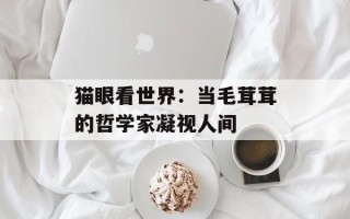猫眼看世界：当毛茸茸的哲学家凝视人间