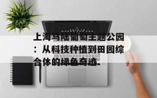 上海马陆葡萄主题公园：从科技种植到田园综合体的绿色奇迹