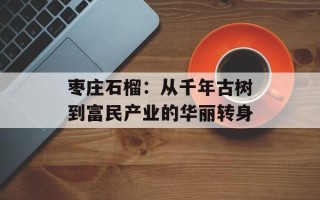 枣庄石榴：从千年古树到富民产业的华丽转身