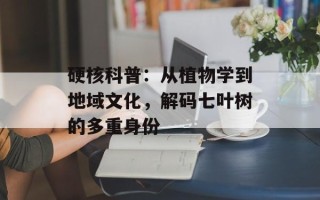 硬核科普：从植物学到地域文化，解码七叶树的多重身份