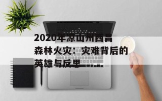 2020年凉山州西昌森林火灾：灾难背后的英雄与反思