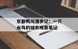 京都鸭川漫步记：一只水鸟的城市观察笔记