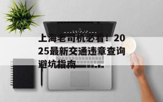 上海老司机必看！2025最新交通违章查询避坑指南