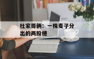 杜家哥俩：一株麦子分出的两股穗