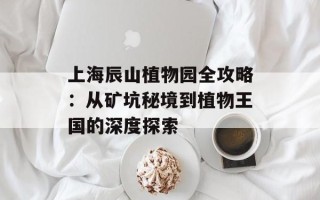上海辰山植物园全攻略：从矿坑秘境到植物王国的深度探索