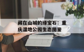 藏在山城的绿宝石：重庆湿地公园生态图鉴