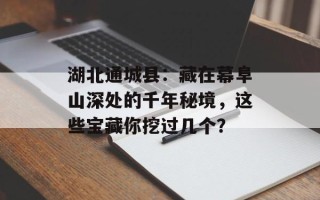 湖北通城县：藏在幕阜山深处的千年秘境，这些宝藏你挖过几个？