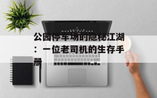 公园停车场的隐秘江湖：一位老司机的生存手册