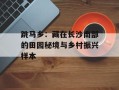跳马乡：藏在长沙南部的田园秘境与乡村振兴样本