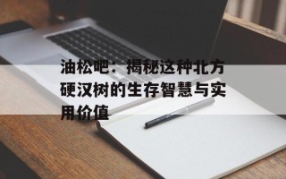油松吧：揭秘这种北方硬汉树的生存智慧与实用价值