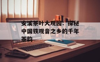 安溪茶叶大观园：探秘中国铁观音之乡的千年茶韵