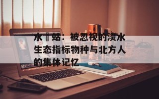 水蝲蛄：被忽视的淡水生态指标物种与北方人的集体记忆