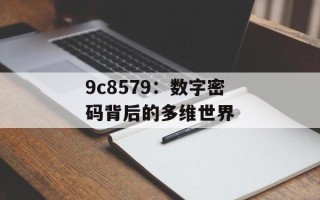 9c8579：数字密码背后的多维世界