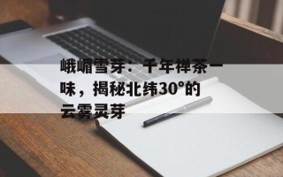 峨嵋雪芽：千年禅茶一味，揭秘北纬30°的云雾灵芽