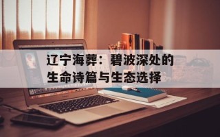 辽宁海葬：碧波深处的生命诗篇与生态选择